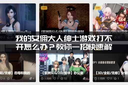 我的女佣大人绅士游戏打不开怎么办？教你一招快速解决问题！