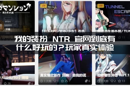 我的装扮 NTR 官网到底有什么好玩的？玩家真实体验报告来了。