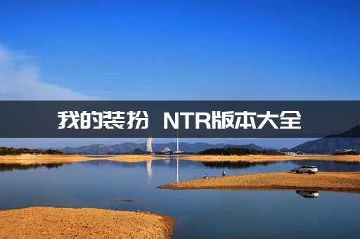 我的装扮 NTR版本大全