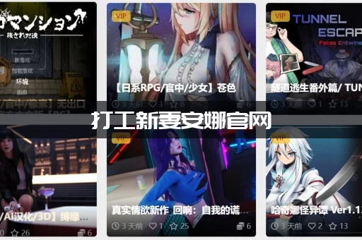 打工新妻安娜官网