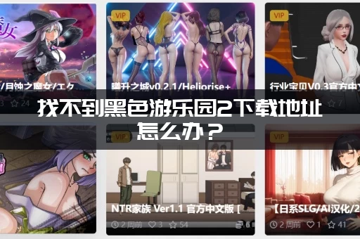 找不到黑色游乐园2下载地址怎么办？(帮你解决所有问题！)