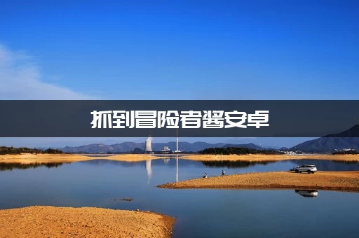 抓到冒险者酱安卓