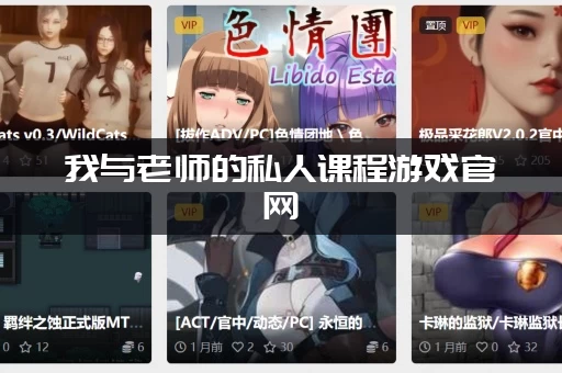 我与老师的私人课程游戏官网