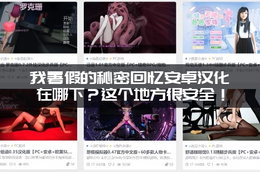 我暑假的秘密回忆安卓汉化在哪下？这个地方很安全！