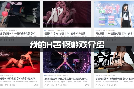 我的H暑假游戏介绍：它到底讲了啥？老玩家深度解析！