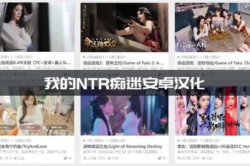 我的NTR痴迷安卓汉化