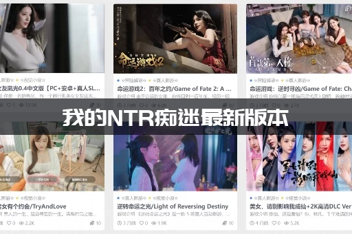 我的NTR痴迷最新版本