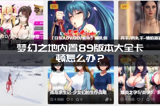 梦幻之地内置89版本大全卡顿怎么办？(简单设置流畅运行攻略)