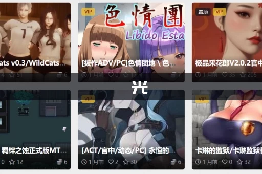 捱光：金瓶梅游戏介绍值得入手吗？这篇攻略告诉你值不值得玩！