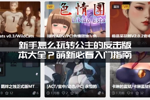 新手怎么玩转公主的反击版本大全？萌新必看入门指南！