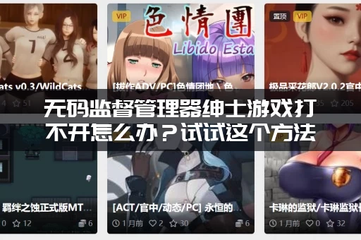 无码监督管理器绅士游戏打不开怎么办？试试这个方法轻松解决！