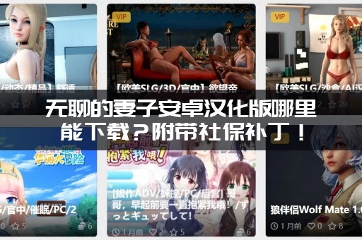 无聊的妻子安卓汉化版哪里能下载？附带社保补丁！