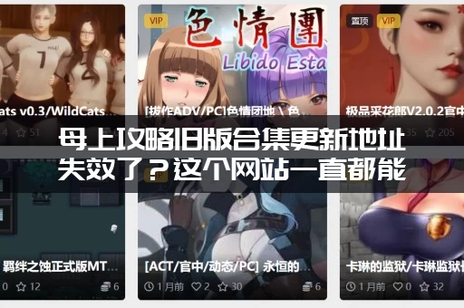母上攻略旧版合集更新地址失效了？这个网站一直都能用！