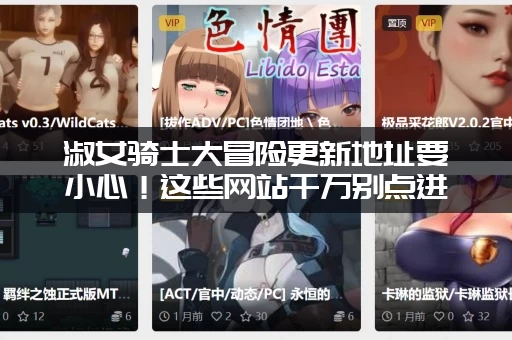 淑女骑士大冒险更新地址要小心！这些网站千万别点进去！