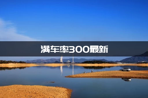 满车率300最新：如何快速实现？老司机分享经验！