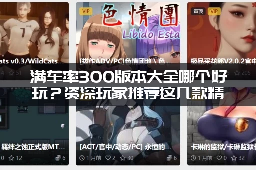 满车率300版本大全哪个好玩？资深玩家推荐这几款精品！