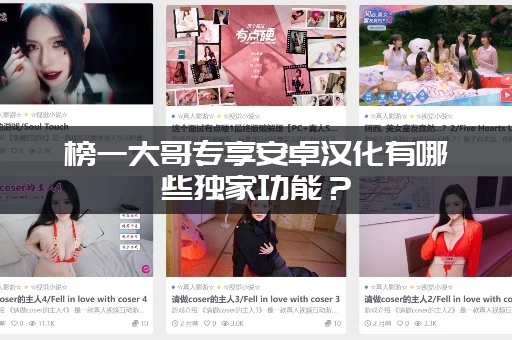 榜一大哥专享安卓汉化有哪些独家功能？(老司机带你抢先体验功能)