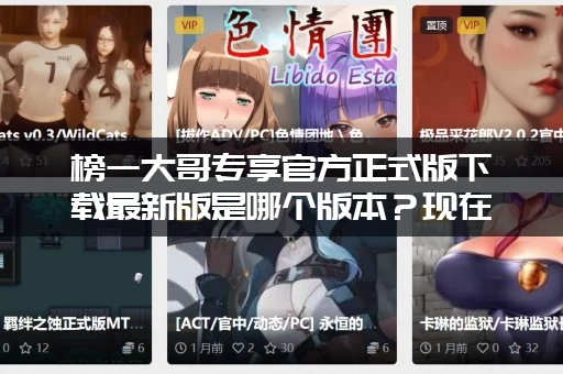 榜一大哥专享官方正式版下载最新版是哪个版本？现在就能体验！