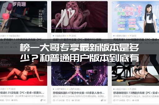 榜一大哥专享最新版本是多少？和普通用户版本到底有什么区别！