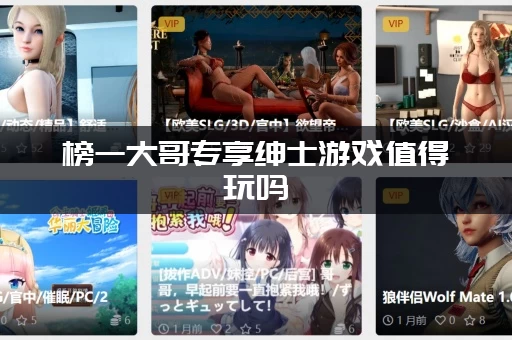 榜一大哥专享绅士游戏值得玩吗(大神深度评测告诉你)