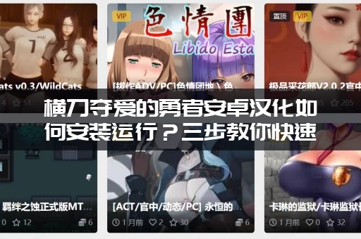 横刀夺爱的勇者安卓汉化如何安装运行？三步教你快速进入游戏！