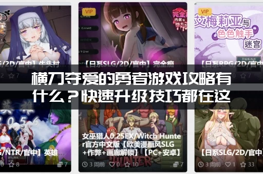 横刀夺爱的勇者游戏攻略有什么？快速升级技巧都在这！