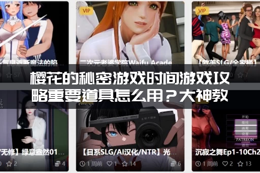 樱花的秘密游戏时间游戏攻略重要道具怎么用？大神教你高效利用不浪费！