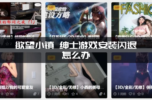 欲望小镇 绅士游戏安装闪退怎么办（最全常见问题解决方法）