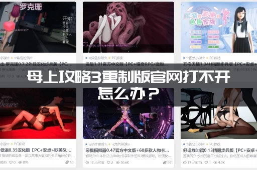 母上攻略3重制版官网打不开怎么办？（简单几步教你快速解决问题）