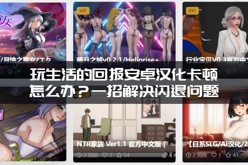 玩生活的回报安卓汉化卡顿怎么办？一招解决闪退问题！