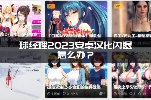 球经理2023安卓汉化闪退怎么办？(亲测有效的解决办法)