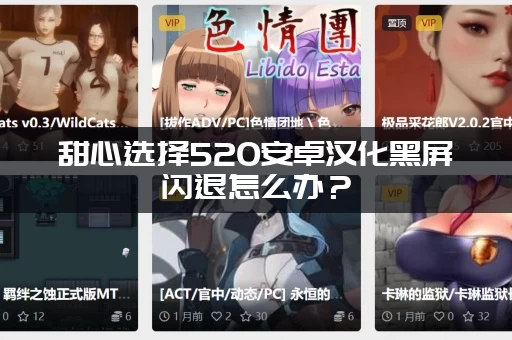 甜心选择520安卓汉化黑屏闪退怎么办？(一键快速解决所有问题)