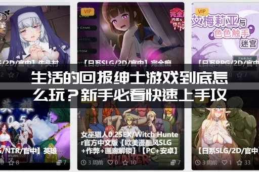 生活的回报绅士游戏到底怎么玩？新手必看快速上手攻略！