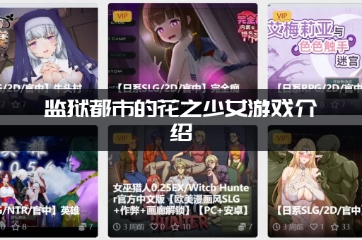 监狱都市的花之少女游戏介绍 (故事讲什么？带你了解背景剧情)