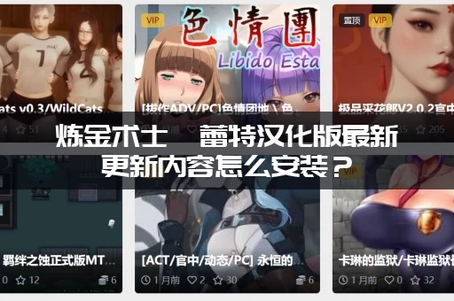 炼金术士柯蕾特汉化版最新更新内容怎么安装？(老玩家必看攻略)