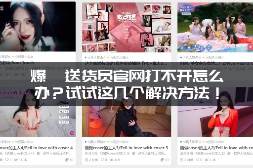 爆汝送货员官网打不开怎么办？试试这几个解决方法！