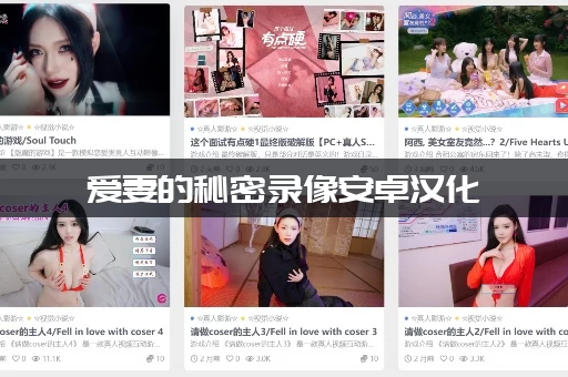 爱妻的秘密录像安卓汉化