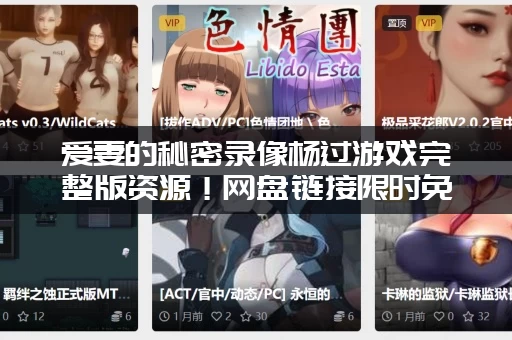 爱妻的秘密录像杨过游戏完整版资源！网盘链接限时免费获取！