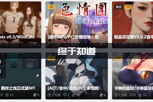 终于知道：NTR按摩大师最新版本是多少？新手必看指南！