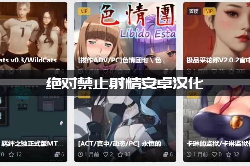 绝对禁止射精安卓汉化