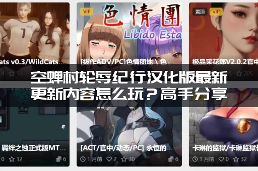 空蝉村轮辱纪行汉化版最新更新内容怎么玩？高手分享通关小技巧！