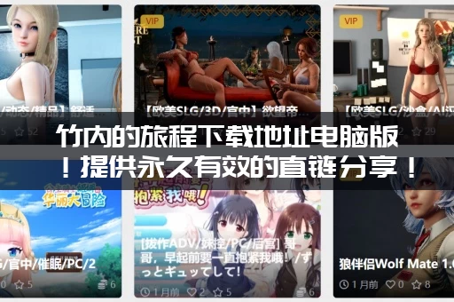 竹内的旅程下载地址电脑版！提供永久有效的直链分享！