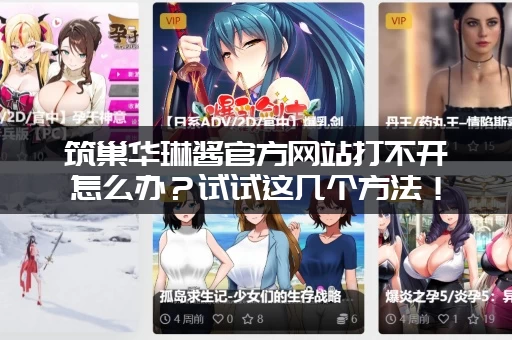 筑巢华琳酱官方网站打不开怎么办？试试这几个方法！