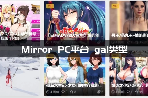 Mirror PC平台 gal类型