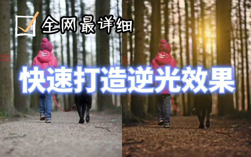 单机游戏修改怎么弄？新手也能轻松上手的教程！