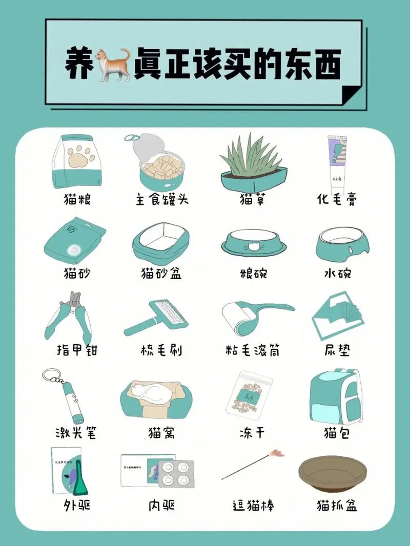 单机游戏评分怎么看？新手必看避坑指南！