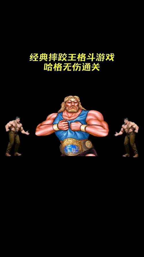 好玩的手机单机格斗游戏：不联网也能玩的格斗！