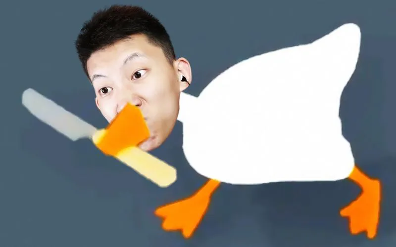 想看鲤鱼解说单机游戏？这些经典不容错过！