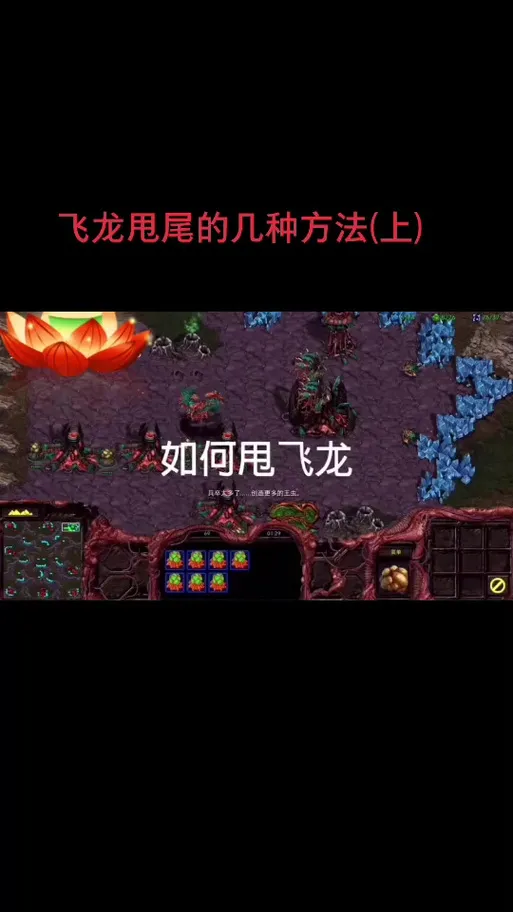 星际争霸单机游戏下载后怎么安装？详细步骤教学！