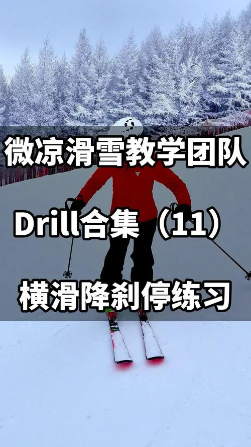 滑雪大冒险单机游戏怎么玩？新手快速入门攻略！